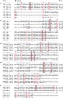 Peptides Derived of Kunitz-Type Serine Protease Inhibitor as Potential Vaccine Against Experimental Schistosomiasis